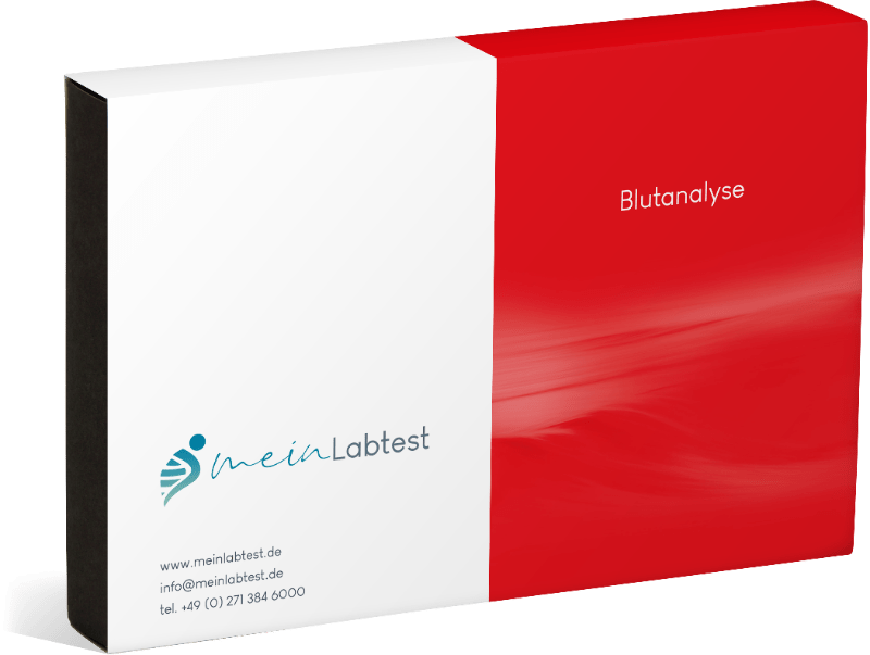 Aminosäuren Bluttest 