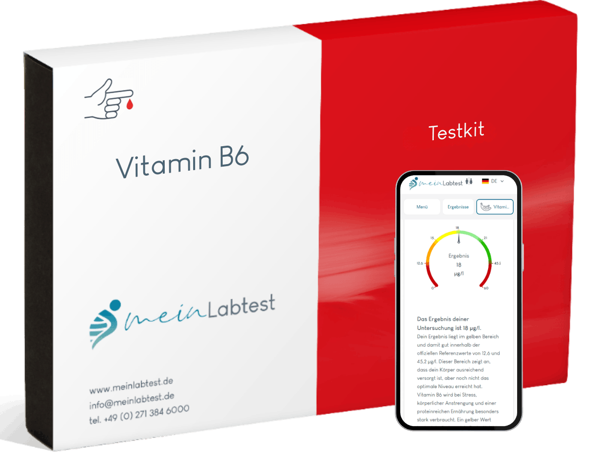 Vitamin B6 Test
