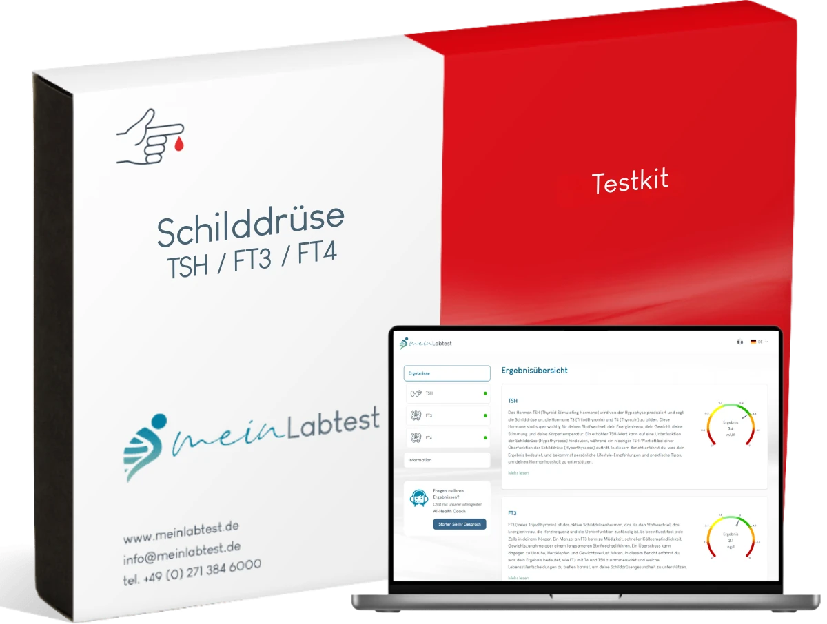 Schilddrüsenuntersuchung