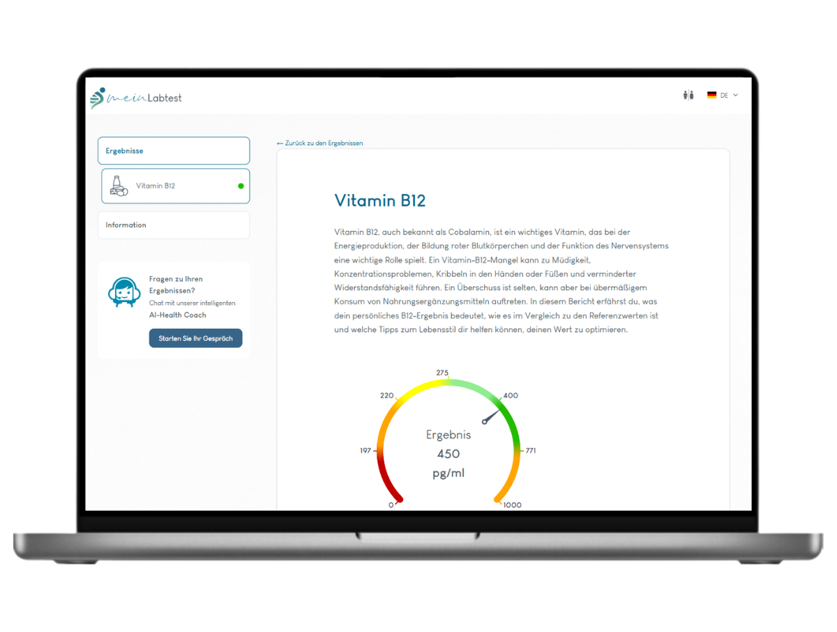 Beispiel des Vitamin B12 Test Ergebnisses auf einem Laptop