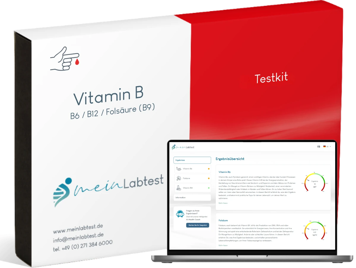 Vitamin B Bluttest