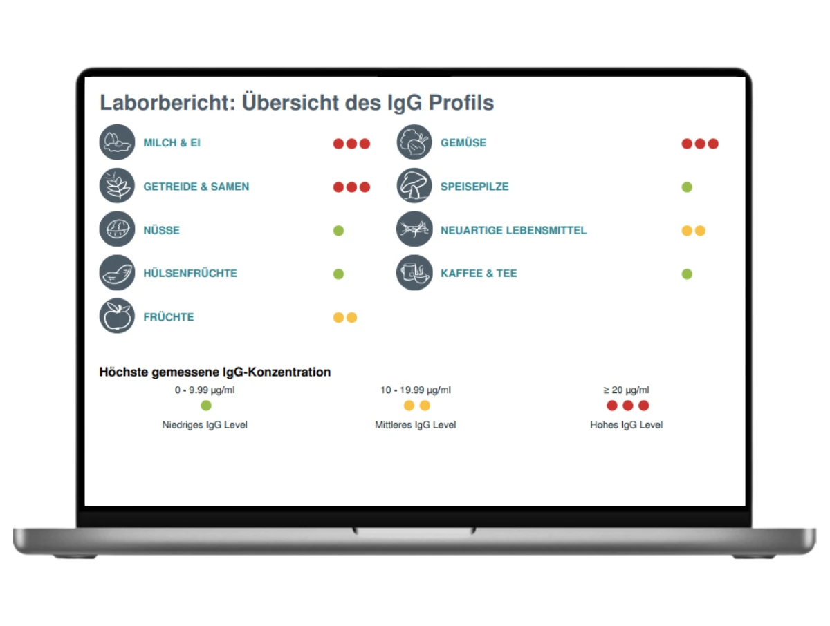 Ergebnisbericht des Lebensmittelunverträglichkeit-Tests Plus auf einem Laptop